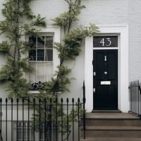 free-photo-of-a-black-door-with-ivy-growing-on-it